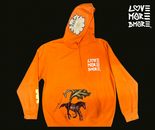 Department of Public Wins Hoodie